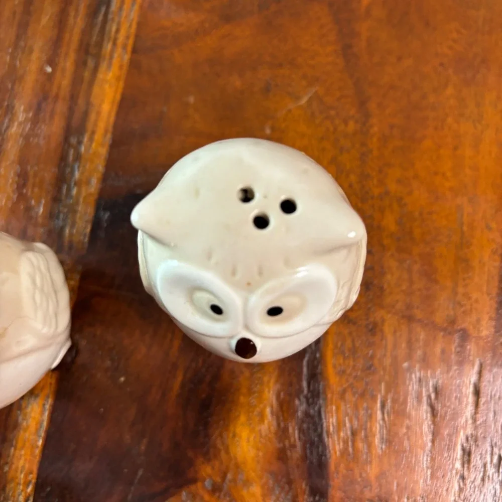 Pier One Imports Ceramic Owl Salt and Pepper Shakers Cream Brown Set of 2